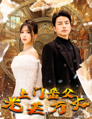 上门岳父光芒万丈（59集）360网盘观看