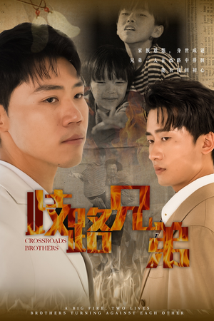 歧路兄弟（63集）精彩好看短剧