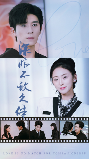 深情不敌久伴（50集）热门短剧在线看