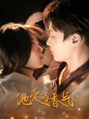 他爱的香气（81集）热播古装短剧