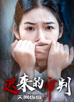 天网恢恢之迟来的审判（31集）精彩短剧热播中