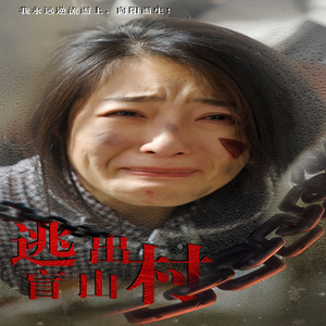 逃出盲山村（48集）80到100集