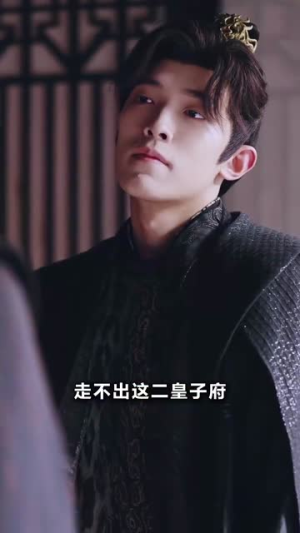 太子你疯了，居然要娶九千岁（93集）好看的短剧