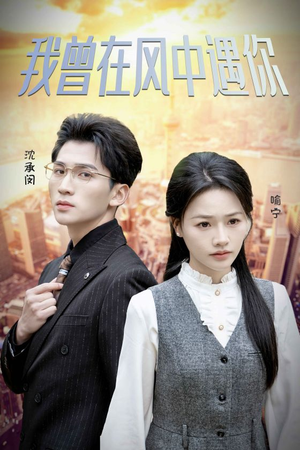 我曾在风中遇你（30集）观看软件