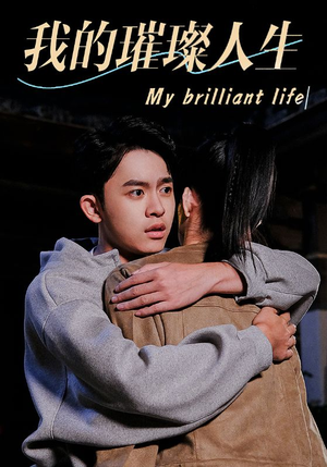 我的璀璨人生（81集）在线看完整版