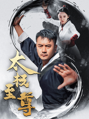 太极至尊（53集）剧情简介