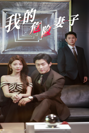 我的危险妻子（30集）短剧热门分享