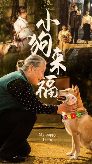 小狗来福（30集）好看短剧追不停