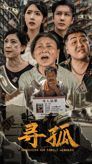 寻孤（78集）好看的短剧