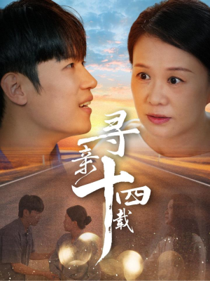 寻亲十四载（50集）免费观看完整版