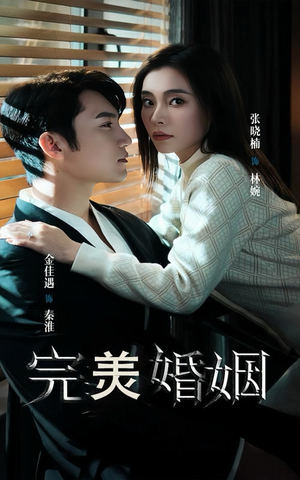 完美婚姻（65集）短剧片段推荐