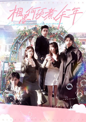 相思何须煮余年（33集）在线播放