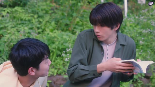 向阳之处必有声（12集）这部短剧太好看