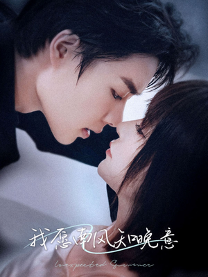 我愿南风知晚意（61集）全集一网打尽