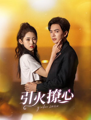 引火撩心（100集）让你一口气看完