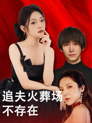 追夫火葬场不存在（100集）短剧太好看了