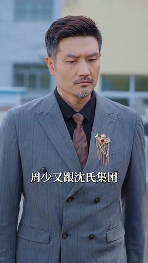 浴火（61集）推荐热门短剧