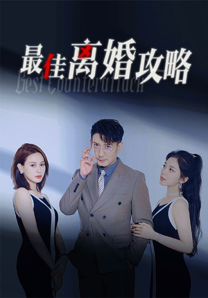 最佳离婚攻略（31集）直接看到大结局