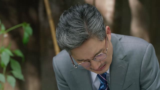 重燃（24集）火热短剧抢先看