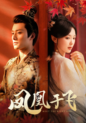 凤凰于飞（79集）精彩短剧热播