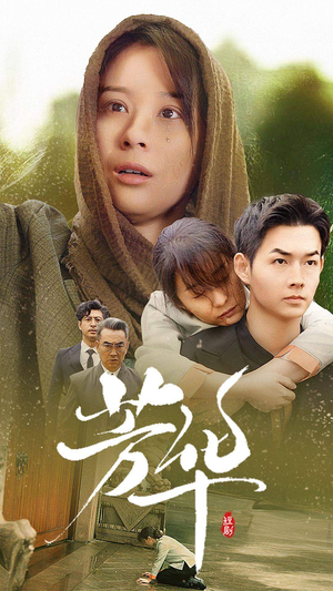 芳华（80集）热门短剧推广