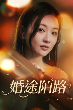婚途陌路（15集）热门短剧抢先