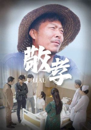 敬孝（61集）全集免费看短剧