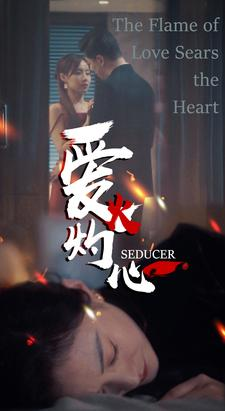 爱火灼心（99集）热播短剧重燃