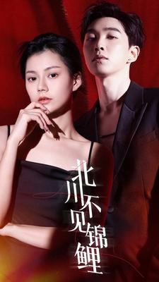 北川不见锦鲤（72集）好看的短剧来了