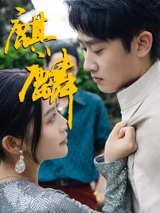 麒麟（91集）评价怎么样