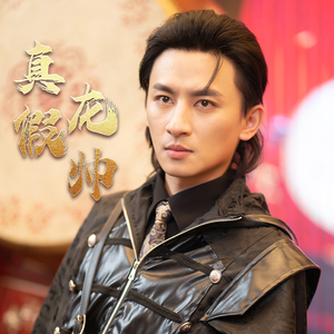 真假龙帅(81集) 真假龙帅(81集)直接看到大结局