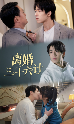离婚三十六计（96集）短剧精彩推荐