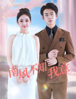 南风不知我意（81集）免费短剧完整版