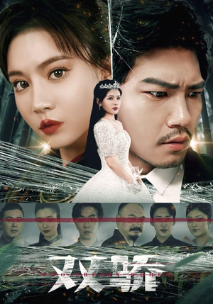 双骄（66集）更新时间一览表