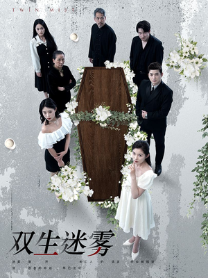 双生迷雾（80集）在线观看