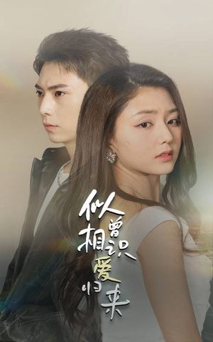 似曾相识爱归来（77集）短剧解说全集