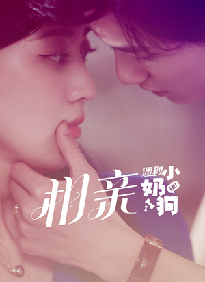 相亲遇到小奶狗（80集）迅雷网盘观看