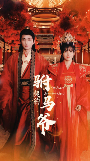 契约驸马爷（74集）好看的短剧电影