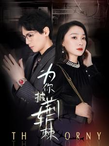 为你披荆斩棘（90集）无需会员轻松看