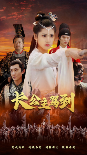 长公主驾到（86集）80到100集