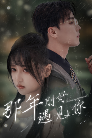 那年刚好遇见你（62集）全集下载