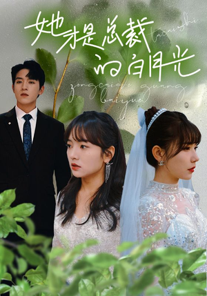 她才是总裁的白月光（90集）热门火爆短剧