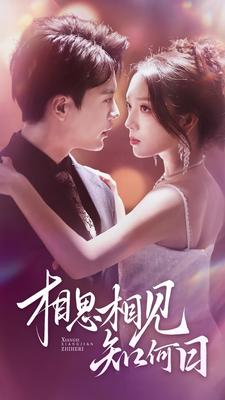 相思相见知何日（81集）精彩短剧看不停