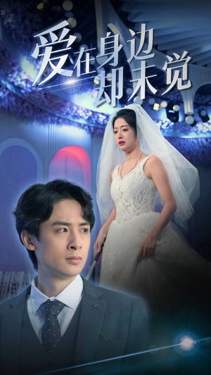 爱在身边却未觉（82集）百度网盘在线看