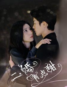 二婚有点甜（88集）全集