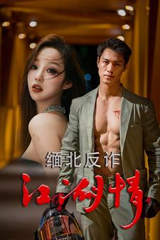 缅北反诈江湖情（86集）免费短剧资源