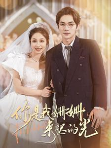 你是我姗姗来迟的光（99集）热门火爆短剧