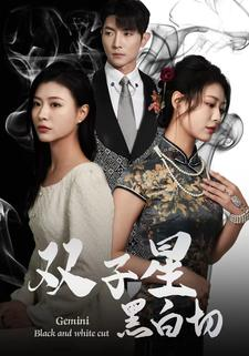 双子星黑白切（82集）常回家看看短剧