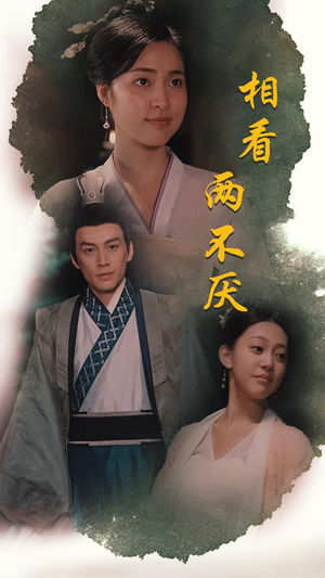 这个王妃不好惹（85集）新短剧推荐