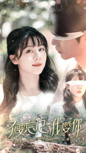 不要忘记我爱你（69集）1-102集